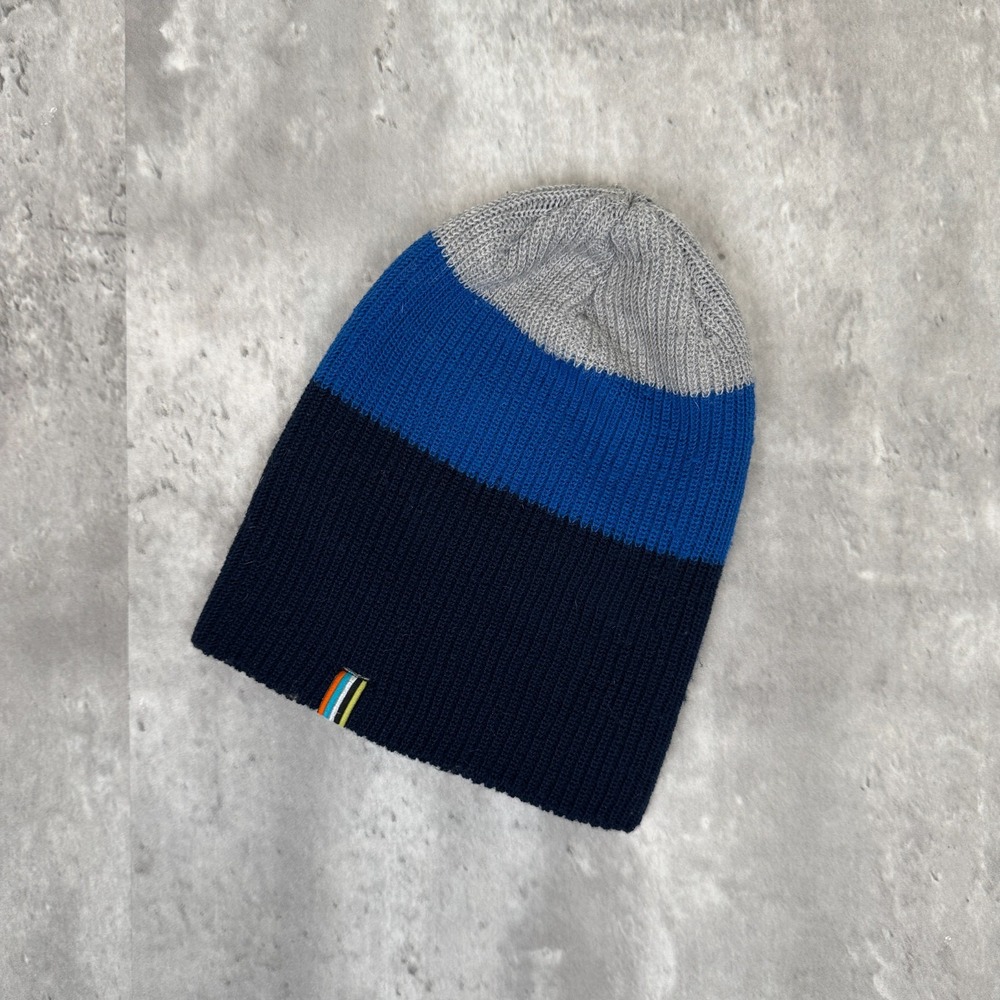 SmartWool Cantar One Size‎ Watch Cap Blue Gray Colorblock Beanie Merino Ski